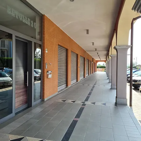 Turin Airport G 아파트 레이니